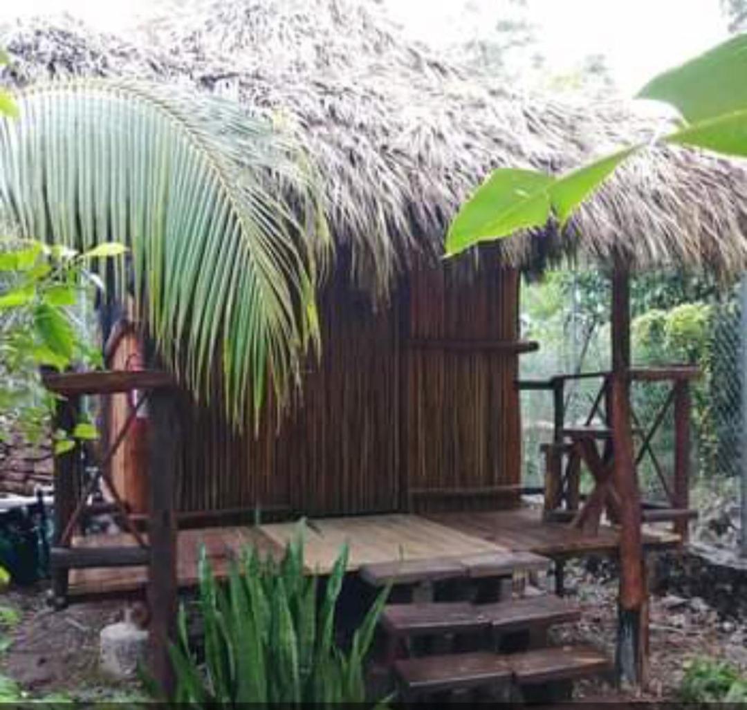 Malinche Cafe In Coba Tulum Apartment Bilik gambar